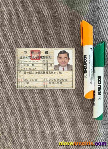 Taiwan driving license  photolook
